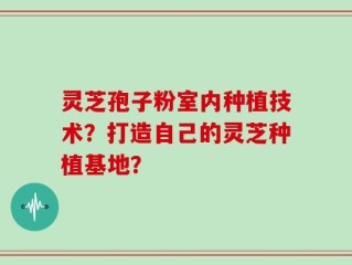 灵芝孢子粉室内种植技术？打造自己的灵芝种植基地？