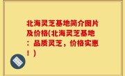 北海灵芝基地简介图片及价格(北海灵芝基地：品质灵芝，价格实惠！)