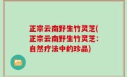 正宗云南野生竹灵芝(正宗云南野生竹灵芝：自然疗法中的珍品)