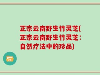 正宗云南野生竹灵芝(正宗云南野生竹灵芝：自然疗法中的珍品)