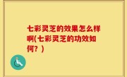 七彩灵芝的效果怎么样啊(七彩灵芝的功效如何？)