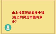 山上找灵芝能卖多少钱(山上的灵芝市值有多少？