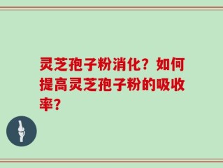 灵芝孢子粉消化？如何提高灵芝孢子粉的吸收率？