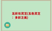 五彩石灵芝(五色灵芝：多彩之美)