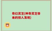 奇幻灵芝(神奇灵芝带来的惊人发现)