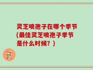 灵芝喷孢子在哪个季节(最佳灵芝喷孢子季节是什么时候？)