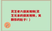 灵芝老六搞笑视频(灵芝兄弟的搞笑视频，笑翻你的肚子！)