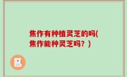焦作有种植灵芝的吗(焦作能种灵芝吗？)