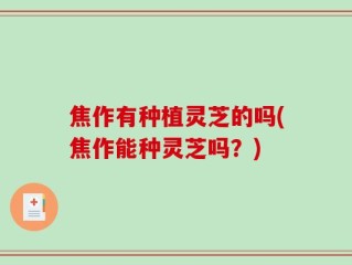 焦作有种植灵芝的吗(焦作能种灵芝吗？)