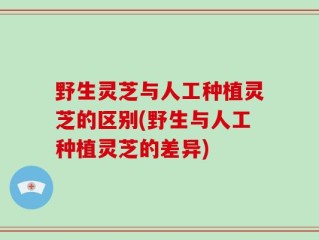 野生灵芝与人工种植灵芝的区别(野生与人工种植灵芝的差异)