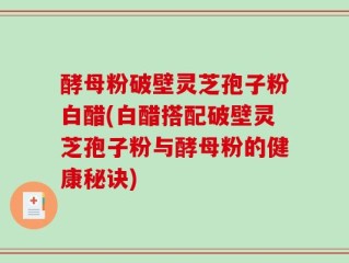 酵母粉破壁灵芝孢子粉白醋(白醋搭配破壁灵芝孢子粉与酵母粉的健康秘诀)