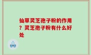 仙草灵芝孢子粉的作用？灵芝孢子粉有什么好处
