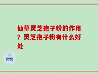仙草灵芝孢子粉的作用？灵芝孢子粉有什么好处