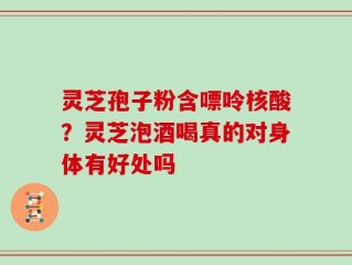 灵芝孢子粉含嘌呤核酸？灵芝泡酒喝真的对身体有好处吗