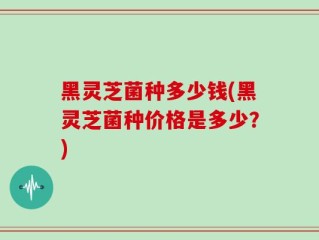 黑灵芝菌种多少钱(黑灵芝菌种价格是多少？)