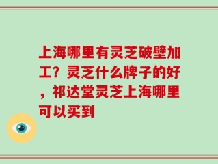 上海哪里有灵芝破壁加工？灵芝什么牌子的好，祁达堂灵芝上海哪里可以买到