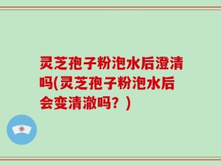 灵芝孢子粉泡水后澄清吗(灵芝孢子粉泡水后会变清澈吗？)