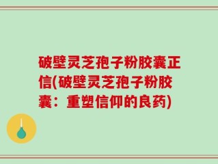 破壁灵芝孢子粉胶囊正信(破壁灵芝孢子粉胶囊：重塑信仰的良药)