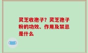 灵芝收孢子？灵芝孢子粉的功效、作用及禁忌是什么