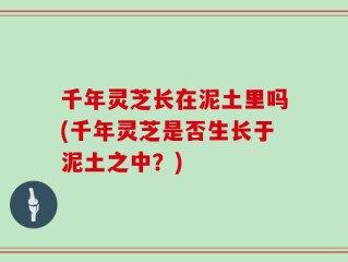 千年灵芝长在泥土里吗(千年灵芝是否生长于泥土之中？)