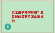 灵芝孢子如何形成？金豆树的灵芝片怎么形成的