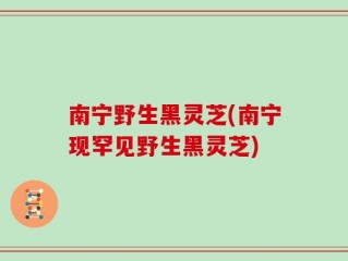 南宁野生黑灵芝(南宁现罕见野生黑灵芝)