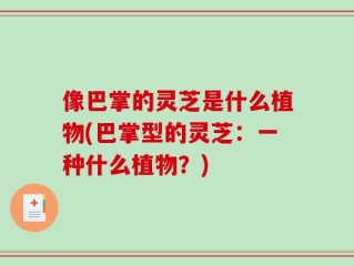 像巴掌的灵芝是什么植物(巴掌型的灵芝：一种什么植物？)