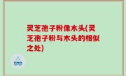 灵芝孢子粉像木头(灵芝孢子粉与木头的相似之处)