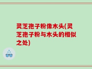 灵芝孢子粉像木头(灵芝孢子粉与木头的相似之处)
