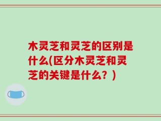 木灵芝和灵芝的区别是什么(区分木灵芝和灵芝的关键是什么？)