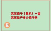 灵芝孢子釆集机？一亩灵芝能产多少孢子粉