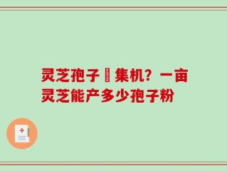 灵芝孢子釆集机？一亩灵芝能产多少孢子粉