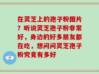 在灵芝上的孢子粉图片？听说灵芝孢子粉非常好，身边的好多朋友都在吃，想问问灵芝孢子粉究竟有多好