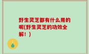 野生灵芝都有什么用的呢(野生灵芝的功效全解！)