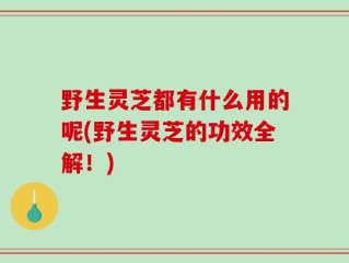 野生灵芝都有什么用的呢(野生灵芝的功效全解！)