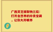 广西灵芝提取物三萜：打开自然界的珍贵宝藏，让你大开眼界