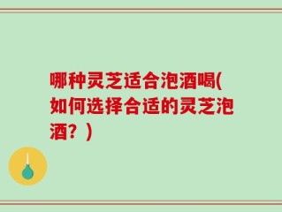 哪种灵芝适合泡酒喝(如何选择合适的灵芝泡酒？)