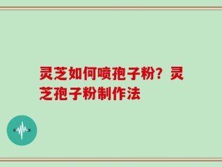 灵芝如何喷孢子粉？灵芝孢子粉制作法