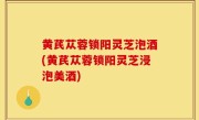 黄芪苁蓉锁阳灵芝泡酒(黄芪苁蓉锁阳灵芝浸泡美酒)