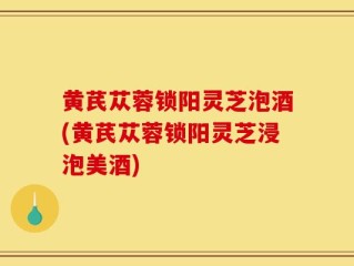 黄芪苁蓉锁阳灵芝泡酒(黄芪苁蓉锁阳灵芝浸泡美酒)