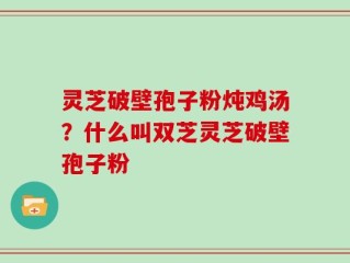 灵芝破壁孢子粉炖鸡汤？什么叫双芝灵芝破壁孢子粉