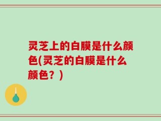 灵芝上的白膜是什么颜色(灵芝的白膜是什么颜色？)