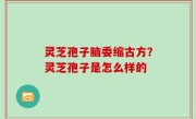 灵芝孢子脑委缩古方？灵芝孢子是怎么样的