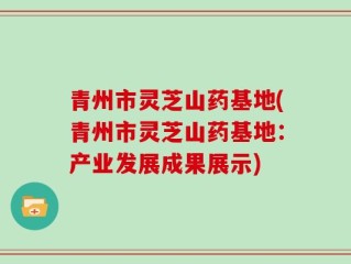 青州市灵芝山药基地(青州市灵芝山药基地：产业发展成果展示)