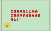 灵芝孢子怎么出来的(灵芝孢子的提取方法是什么？)