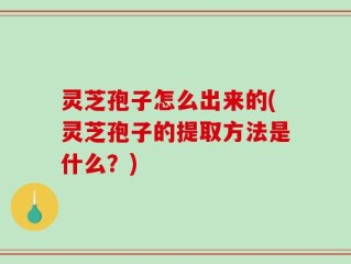 灵芝孢子怎么出来的(灵芝孢子的提取方法是什么？)