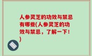 人参灵芝的功效与禁忌有哪些(人参灵芝的功效与禁忌，了解一下！)