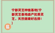 宁都灵芝种植基地(宁都灵芝基地盛产优质灵芝，天然健康好选择！)