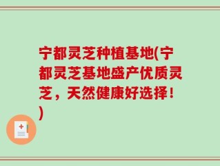 宁都灵芝种植基地(宁都灵芝基地盛产优质灵芝，天然健康好选择！)
