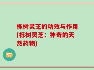 栎树灵芝的功效与作用(栎树灵芝：神奇的天然药物)